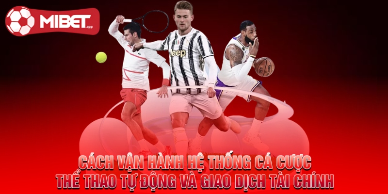 Cách vận hành hệ thống cá cược thể thao tự động và giao dịch tài chính