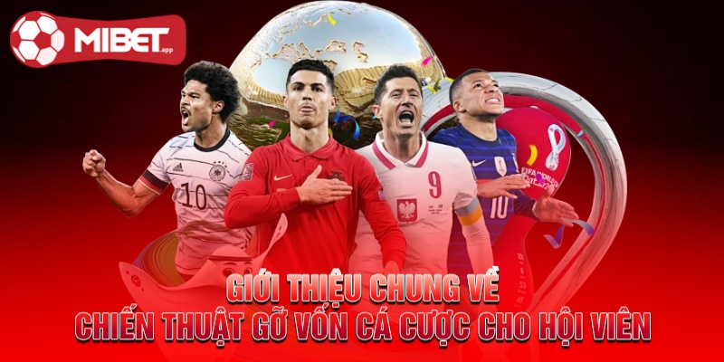 Giới thiệu chung về chiến thuật gỡ vốn cá cược cho hội viên