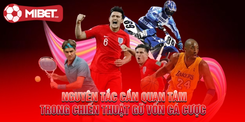 Nguyên tắc cần quan tâm trong chiến thuật gỡ vốn cá cược 