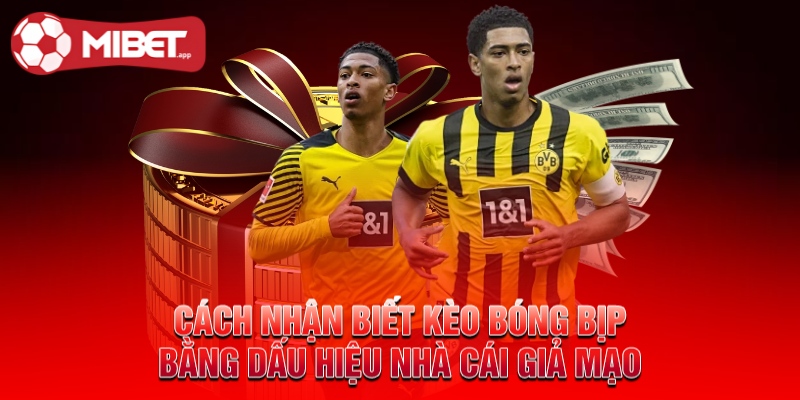 Cách nhận biết kèo bóng bịp bằng dấu hiệu nhà cái giả mạo