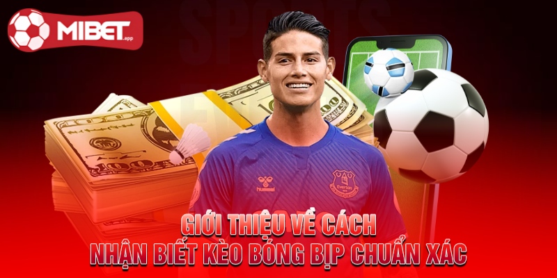 Giới thiệu về cách nhận biết kèo bóng bịp chuẩn xác