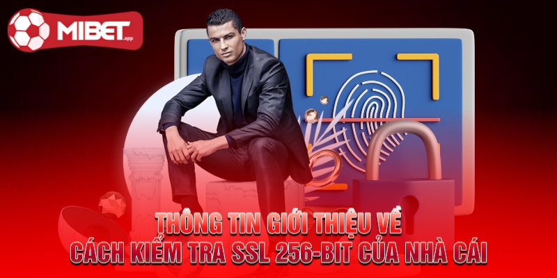 Thông tin giới thiệu về cách kiểm tra SSL 256-BIT của nhà cái