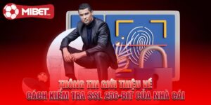 Cách Kiểm Tra SSL 256-BIT Của Nhà CáiCách Kiểm Tra SSL 256-BIT Của Nhà Cái